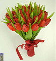 Click image for larger version

Name:	tulips.jpg
Views:	219
Size:	125.0 KB
ID:	1384732