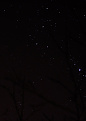 Click image for larger version

Name:	DPP0006.jpg
Views:	215
Size:	57.8 KB
ID:	1385318