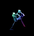 Click image for larger version

Name:	flower bird smoke.jpg
Views:	212
Size:	59.4 KB
ID:	1385616