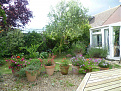 Click image for larger version

Name:	Garden1.jpg
Views:	303
Size:	447.3 KB
ID:	1390114