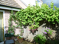 Click image for larger version

Name:	Garden8.jpg
Views:	305
Size:	430.2 KB
ID:	1390126