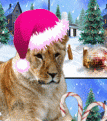 Click image for larger version

Name:	Xmas Avi.gif
Views:	200
Size:	21.9 KB
ID:	1391826