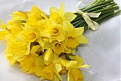 Click image for larger version

Name:	daffodils.jpg
Views:	158
Size:	7.3 KB
ID:	1393026