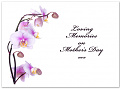 Click image for larger version

Name:	Mothers Day.jpg
Views:	126
Size:	72.9 KB
ID:	1393234