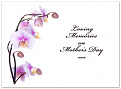 Click image for larger version

Name:	Mothers Day.jpg
Views:	201
Size:	72.9 KB
ID:	1393234