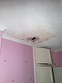 Click image for larger version

Name:	IMG_0236.jpg
Views:	226
Size:	119.7 KB
ID:	1397960