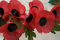 Click image for larger version

Name:	poppies.jpg
Views:	164
Size:	7.0 KB
ID:	1398454