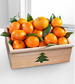 Click image for larger version

Name:	satsuma.jpg
Views:	186
Size:	9.4 KB
ID:	1398738