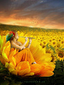 Click image for larger version

Name:	10330407_782128665173026_7342989501741539959_n.jpg
Views:	217
Size:	137.9 KB
ID:	1401430