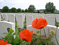 Click image for larger version

Name:	tyne_cot_poppy.jpg
Views:	171
Size:	31.0 KB
ID:	1402072