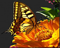 Click image for larger version

Name:	10603724_817268528325706_8068418853331460990_n.jpg
Views:	238
Size:	35.1 KB
ID:	1406088