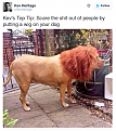 Click image for larger version

Name:	tip.png
Views:	269
Size:	533.0 KB
ID:	1410548